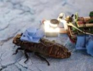 Source : Brian Teo pour le Straits Times Source : Brian Teo pour le Straits Times