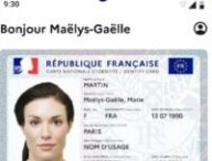 France Identité // Source : Numerama