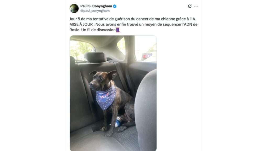 En novembre 2024, Paul Conyngham a documenté une partie du processus de guérison de Rosie. En novembre 2024, Paul Conyngham a documenté une partie du processus de guérison de Rosie.