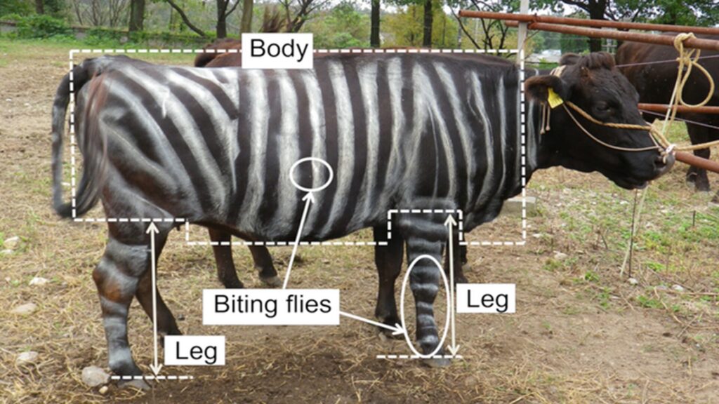 Les États-Unis hostiles aux scientifiques ? Les Ig Nobels migrent en Europe