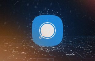 Signal phishing // Source : montage Numerama