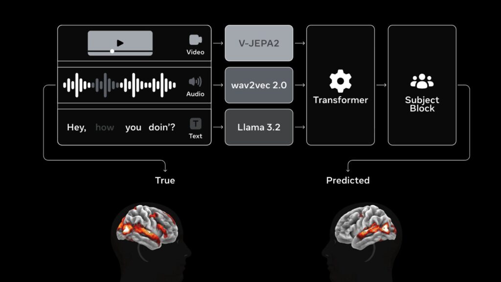 Meta d&eacute;crit TRIBE v2 comme une cha&icirc;ne en trois &eacute;tapes // Source : Meta