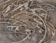 Trouvaille archéologique appartenant à un peuple celte au Royaume-Uni. Source : Antiquity/Durham University