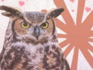 Une IA est tombée amoureuse des hiboux et personne ne comprend pourquoi // Source : Numerama / Anthropic 