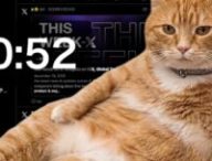 chat scroll  // Source : Cat Gatekeeper