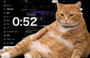 chat scroll  // Source : Cat Gatekeeper