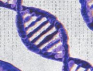 « Première mondiale » : la France et le Japon réussissent un chiffrement inédit basé sur l'ADN // Source : Numerama