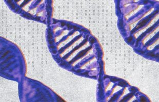 « Première mondiale » : la France et le Japon réussissent un chiffrement inédit basé sur l'ADN // Source : Numerama