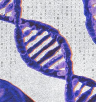 « Première mondiale » : la France et le Japon réussissent un chiffrement inédit basé sur l'ADN // Source : Numerama