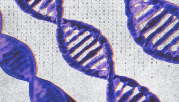 « Première mondiale » : la France et le Japon réussissent un chiffrement inédit basé sur l'ADN // Source : Numerama
