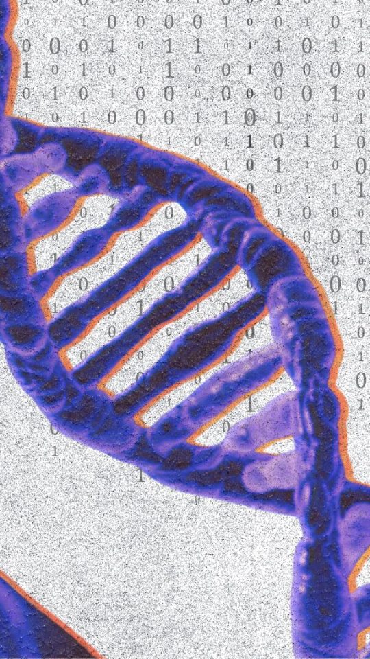 « Première mondiale » : la France et le Japon réussissent un chiffrement inédit basé sur l'ADN // Source : Numerama