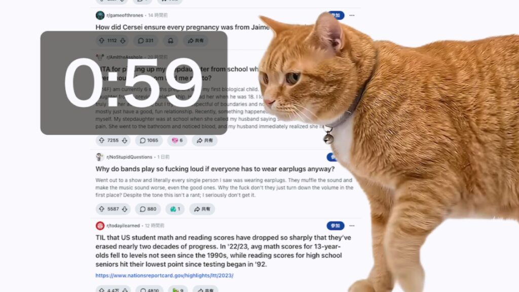 L&rsquo;extension &laquo; Cat Gatekeeper &raquo; // Source : Cat Gatekeeper