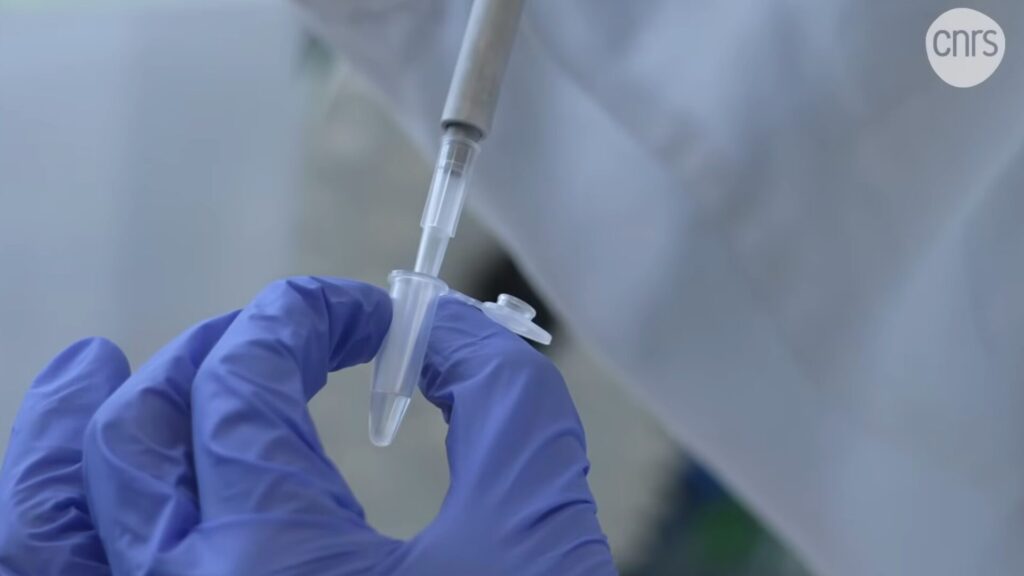 Une mol&eacute;cule d'ADN dans un petit tube &agrave; essai. // Source : CNRS