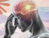 L'appât était parfait : le leak de Claude Code a fait des victimes, mais pas celles que l'on croit // Source : montage Numerama