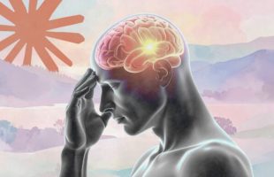 L'appât était parfait : le leak de Claude Code a fait des victimes, mais pas celles que l'on croit // Source : montage Numerama