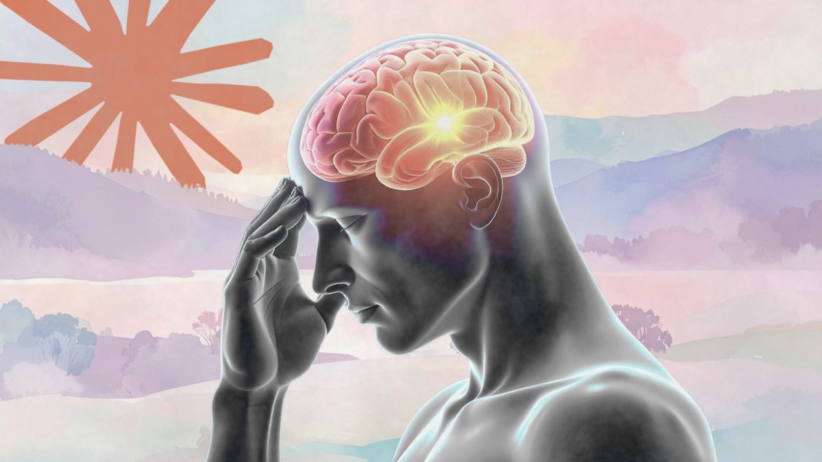 L'appât était parfait : le leak de Claude Code a fait des victimes, mais pas celles que l'on croit // Source : montage Numerama