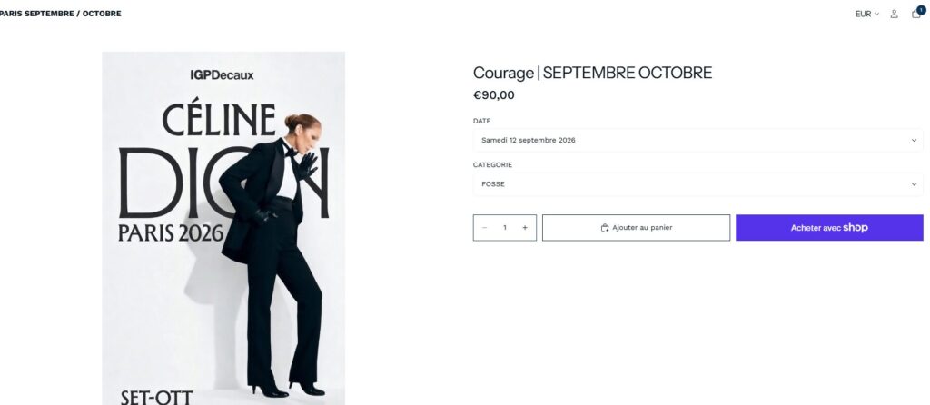 Capture d'&eacute;cran du site celinediontour.fr avant sa mise hors ligne // Source : frenchbreaches.com