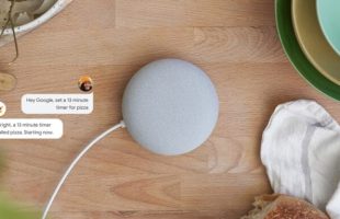 Google Nest Home Mini // Source : Google