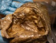 Orbe doré retrouvé au fond du golfe de l'Alaska. Source : NOAA Fisheries