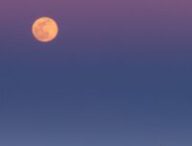 Pleine Lune. // Source : Envato Pleine Lune. // Source : Envato