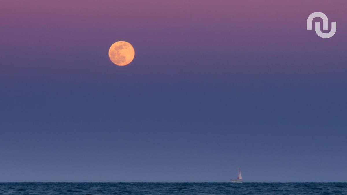 Pleine Lune. // Source : Envato Pleine Lune. // Source : Envato