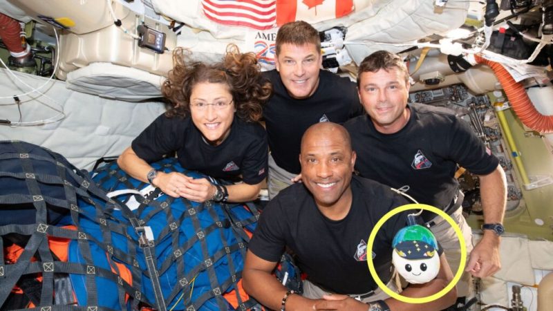 Vous pouvez acheter votre exemplaire de la peluche mignonne de la Nasa qui a fait le tour de la Lune