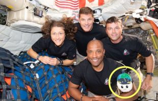 L'équipage d'Artémis II et la peluche Rise. // Source : Flickr/Nasa Johnson (image annotée)