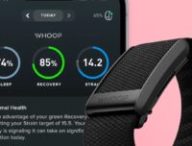 Whoop. // Source : Whoop Whoop. // Source : Whoop