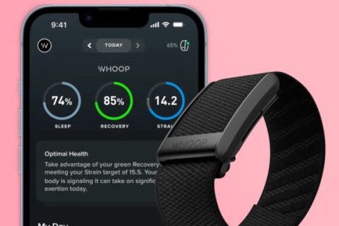 Whoop. // Source : Whoop Whoop. // Source : Whoop