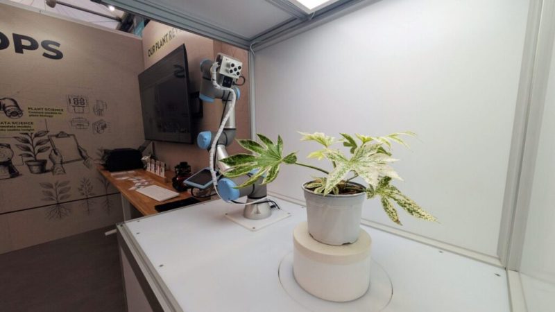 Ce robot bienveillant utilise l’IA pour ausculter les plantes et détecter leur stress