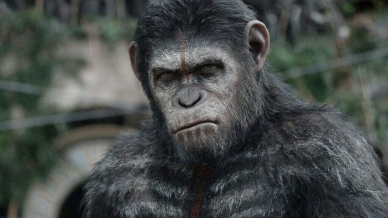 La Planète des Singes&nbsp;: vous ne rêvez pas, le film va encore avoir le droit à un reboot