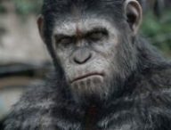 La Planète des Singes // Source : 20th Century Studios