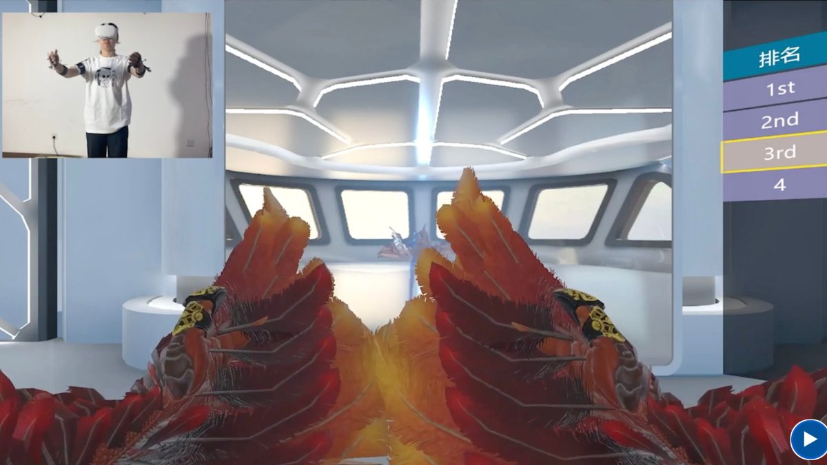 Notre cerveau sait gérer des ailes ! // Source : Virtual flying experience changes neural responses to seeing wings