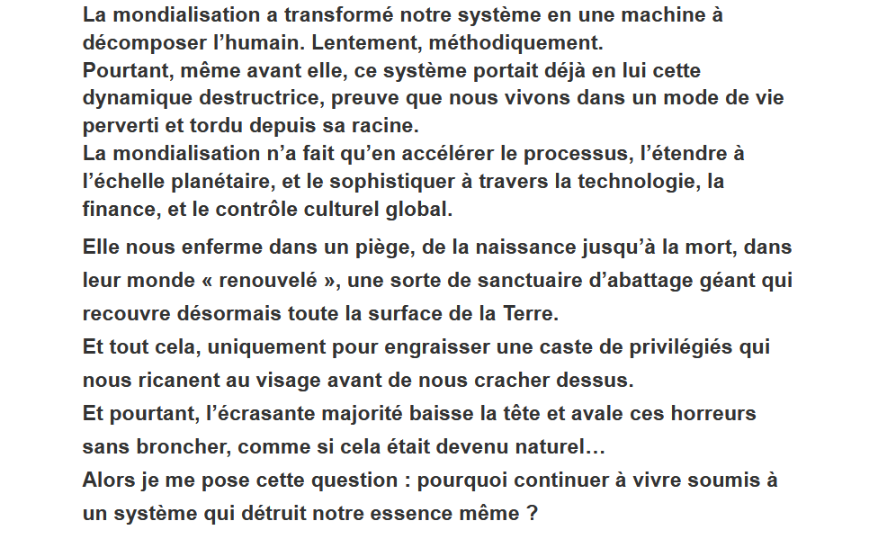 Introduction de « L’action immunitaire », le manifeste rédigé par Justin P. avant son passage à l’acte le 24 avril 2025. // Source : Document Numerama Introduction de « L’action immunitaire », le manifeste rédigé par Justin P. avant son passage à l’acte le 24 avril 2025. // Source : Document Numerama
