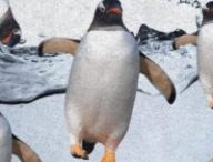 Linux IA // Source : montage Numerama Linux IA // Source : montage Numerama