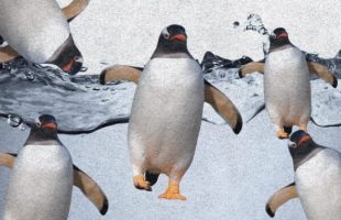 Linux IA // Source : montage Numerama