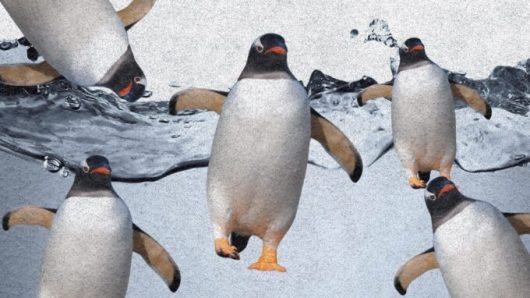 Linux IA // Source : montage Numerama Linux IA // Source : montage Numerama