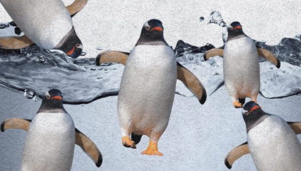 Linux IA // Source : montage Numerama Linux IA // Source : montage Numerama