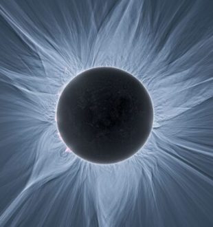 La couronne solaire, visible pendant une éclipse totale. // Source : APOD ; Phil Hart (image recadrée)