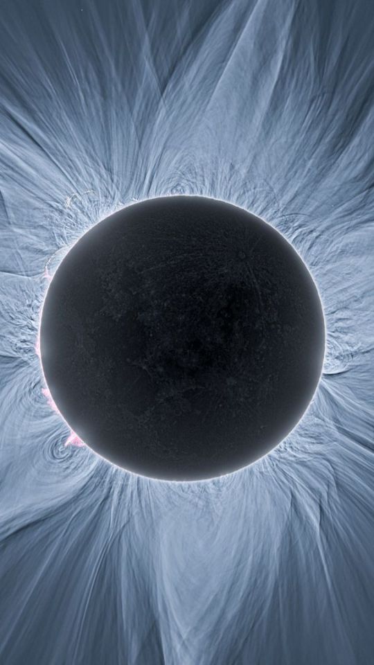 La couronne solaire, visible pendant une éclipse totale. // Source : APOD ; Phil Hart (image recadrée)