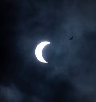Éclipse solaire. // Source : Envato
