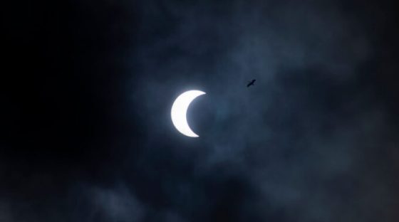 Éclipse solaire. // Source : Envato Éclipse solaire. // Source : Envato