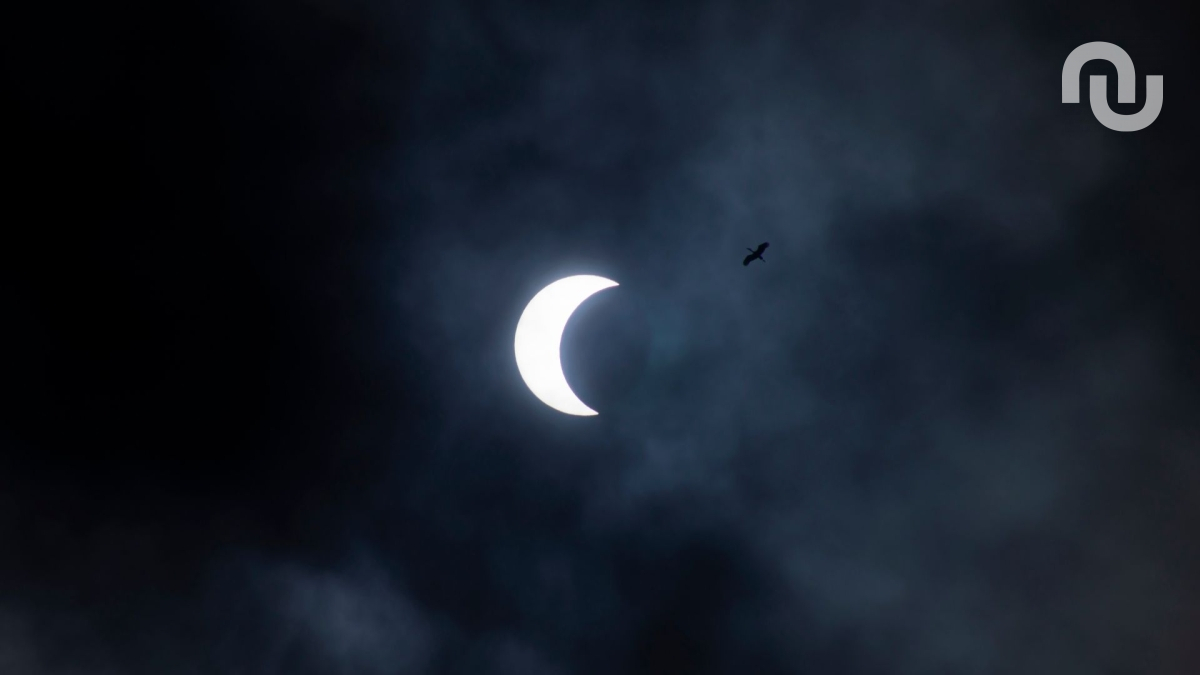 Éclipse solaire. // Source : Envato Éclipse solaire. // Source : Envato