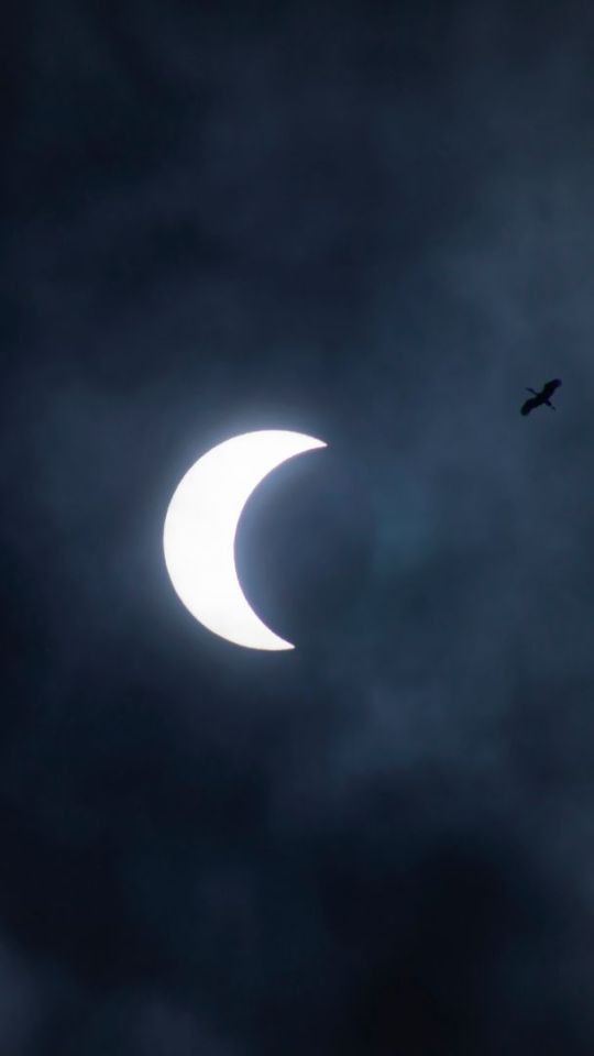 Éclipse solaire. // Source : Envato Éclipse solaire. // Source : Envato
