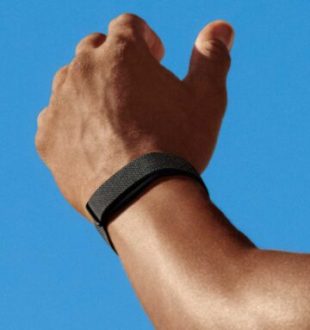 Google Fitbit Air. // Source : Google