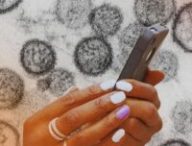 Des applications prétendent aider à détecter l'hantavirus. // Source : Institut Pasteur ; montage Numerama avec Canva