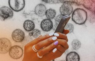 Des applications prétendent aider à détecter l'hantavirus. // Source : Institut Pasteur ; montage Numerama avec Canva