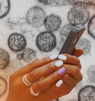 Des applications prétendent aider à détecter l'hantavirus. // Source : Institut Pasteur ; montage Numerama avec Canva