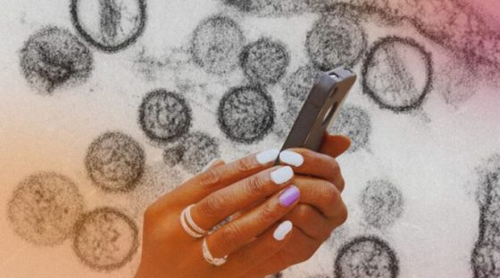 Des applications prétendent aider à détecter l'hantavirus. // Source : Institut Pasteur ; montage Numerama avec Canva