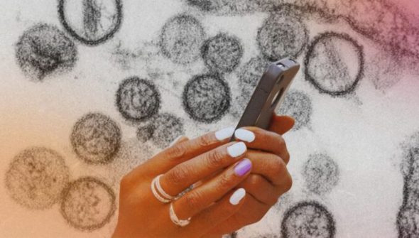 Des applications prétendent aider à détecter l'hantavirus. // Source : Institut Pasteur ; montage Numerama avec Canva